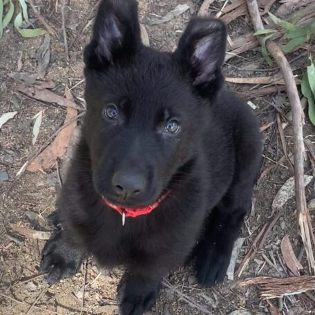 A look that just melts your heart!